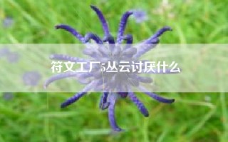 符文工厂5丛云讨厌什么