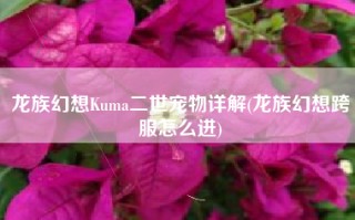 龙族幻想Kuma二世宠物详解(龙族幻想跨服怎么进)