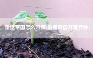 重返帝国怎么开荒(重返帝国开荒兵种)