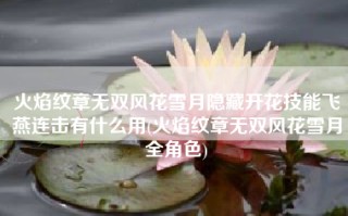 火焰纹章无双风花雪月隐藏开花技能飞燕连击有什么用(火焰纹章无双风花雪月全角色)