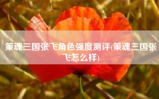 策魂三国张飞角色强度测评(策魂三国张飞怎么样)