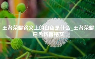 王者荣耀铭文上的白色是什么_王者荣耀白色伤害铭文