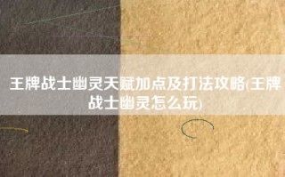 王牌战士幽灵天赋加点及打法攻略(王牌战士幽灵怎么玩)