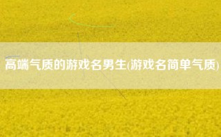 高端气质的游戏名男生(游戏名简单气质)