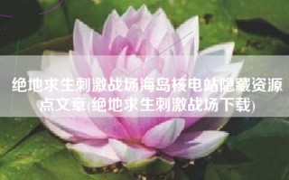 绝地求生刺激战场海岛核电站隐藏资源点文章(绝地求生刺激战场下载)
