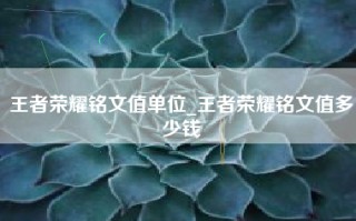 王者荣耀铭文值单位_王者荣耀铭文值多少钱