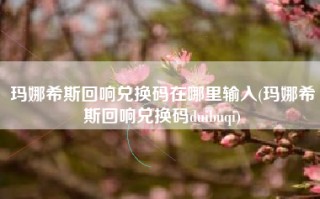 玛娜希斯回响兑换码在哪里输入(玛娜希斯回响兑换码duibuqi)