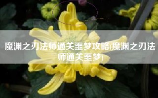 魔渊之刃法师通关噩梦攻略(魔渊之刃法师通关噩梦)