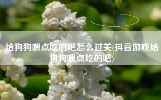 给狗狗喂点吃的吧怎么过关(抖音游戏给狗狗喂点吃的吧)