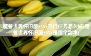 魔兽世界怀旧服NAXX开门任务怎么做(魔兽世界怀旧服NAXX是哪个副本)