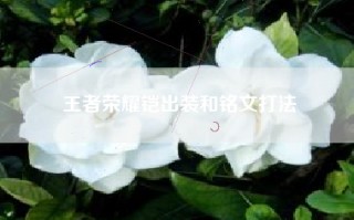 王者荣耀铠出装和铭文打法