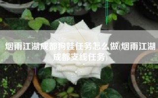 烟雨江湖成都狗娃任务怎么做(烟雨江湖成都支线任务)