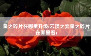 星之碎片在哪里升级(云顶之弈星之碎片在哪里看)