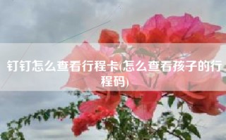 钉钉怎么查看行程卡(怎么查看孩子的行程码)