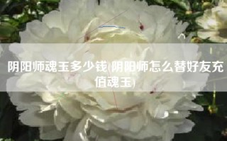 阴阳师魂玉多少钱(阴阳师怎么替好友充值魂玉)