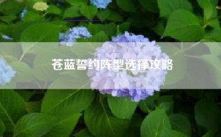 苍蓝誓约阵型选择攻略