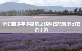 梦幻西游手游星辰之路队伍配置,梦幻西游手游
