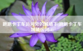 跑跑卡丁车运河旁的城墙下(跑跑卡丁车城镇运河s4)