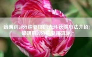 黎明前20分钟夏娜的光环获得方法介绍(黎明前20分钟夏娜流派)