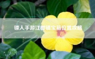 镖人手游江都镇宝箱位置攻略