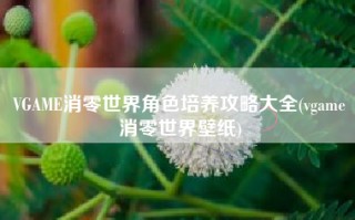 VGAME消零世界角色培养攻略大全(vgame消零世界壁纸)
