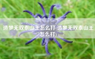 造梦无双泰山王怎么打(造梦无双泰山王怎么打)