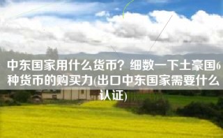 中东国家用什么货币？细数一下土豪国6种货币的购买力(出口中东国家需要什么认证)