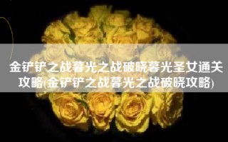 金铲铲之战暮光之战破晓暮光圣女通关攻略(金铲铲之战暮光之战破晓攻略)