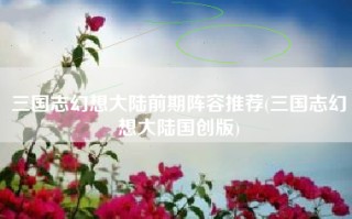 三国志幻想大陆前期阵容推荐(三国志幻想大陆国创版)