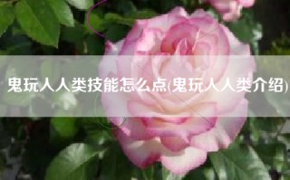 鬼玩人人类技能怎么点(鬼玩人人类介绍)