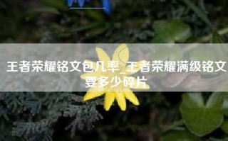 王者荣耀铭文包几率_王者荣耀满级铭文要多少碎片
