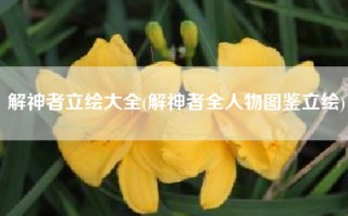 解神者立绘大全(解神者全人物图鉴立绘)