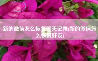 新的微信怎么恢复聊天记录(新的微信怎么恢复好友)