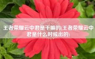王者荣耀云中君是干嘛的(王者荣耀云中君是什么时候出的)