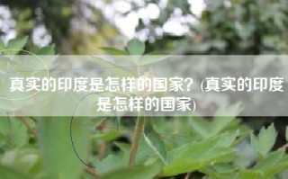 真实的印度是怎样的国家？(真实的印度是怎样的国家)