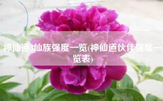 神仙道3仙族强度一览(神仙道伙伴强度一览表)