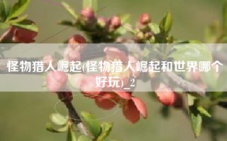 怪物猎人崛起(怪物猎人崛起和世界哪个好玩)_2