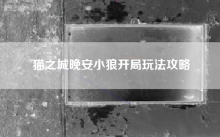 猫之城晚安小狼开局玩法攻略