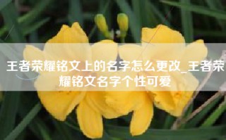 王者荣耀铭文上的名字怎么更改_王者荣耀铭文名字个性可爱
