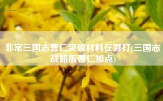 非常三国志曹仁突破材料在哪打(三国志战略版曹仁加点)