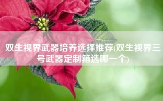 双生视界武器培养选择推荐(双生视界三号武器定制箱选哪一个)
