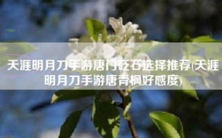 天涯明月刀手游唐门砭石选择推荐(天涯明月刀手游唐青枫好感度)