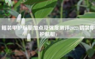 鳐装甲护航艇加点及强度测评2022(鹞装甲护航艇)