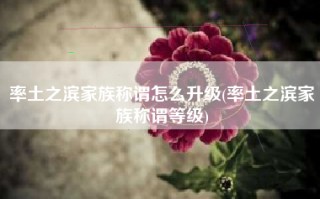 率土之滨家族称谓怎么升级(率土之滨家族称谓等级)