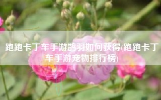 跑跑卡丁车手游鹊羽如何获得(跑跑卡丁车手游宠物排行榜)