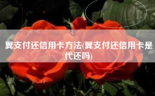 翼支付还信用卡方法(翼支付还信用卡是代还吗)
