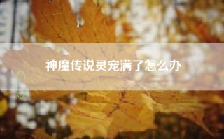 神魔传说灵宠满了怎么办