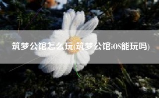 筑梦公馆怎么玩(筑梦公馆iOS能玩吗)