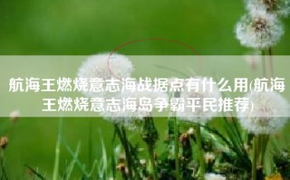航海王燃烧意志海战据点有什么用(航海王燃烧意志海岛争霸平民推荐)