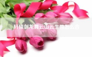 轩辕剑龙舞云山云生兽怎么合